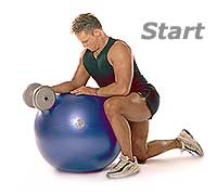 Image 1 - Dumbbell Wrist Curls and Extensions on Sissel Swiss Ball Pro