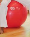 SISSEL Exercise Ball, 65 cm, rd