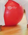 SISSEL Exercise Ball, 75 cm, rd