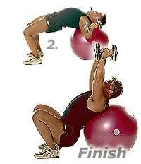 Image 2 - Flat Dumbbell Flyes on Sissel Swiss Ball Pro