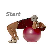 Image 1 - Decline Dumbbell Press on Sissel Swiss Ball Pro