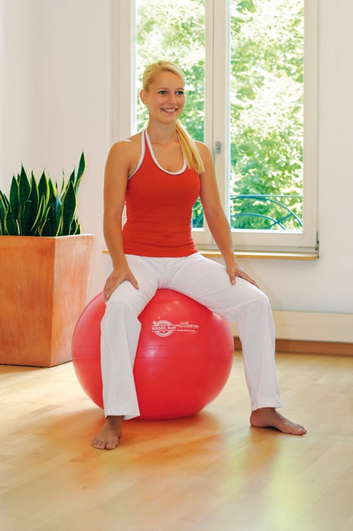 Image SISSEL® Exercise Ball, 55 cm, rød