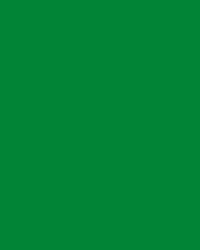 Image Stærk Fit-Band (grøn) - 14.5 cm x 46 m